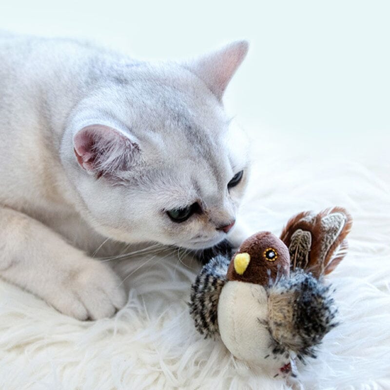 【Bis zu 60% Rabatt】Katzenspielzeug - Simulierter zwitschernder Vogel