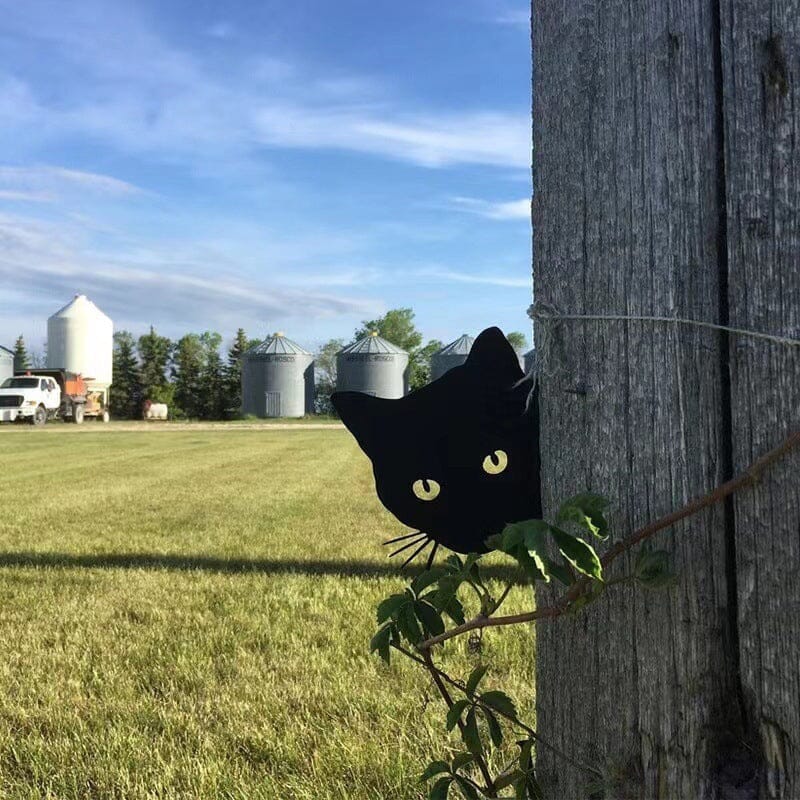 Vorverkauf>>Schwarze Peeping Cat Ornament