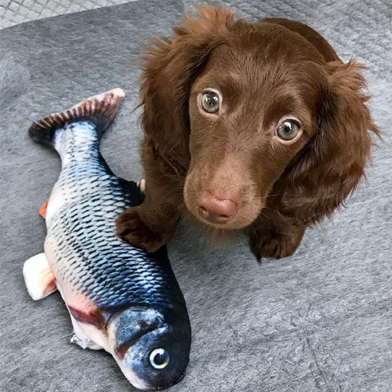 Elektrischer Puppenfisch für Katze und Hunde